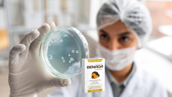 Benaga Chaga bei parasitären Infektionen und zur Gewichtsreduktion