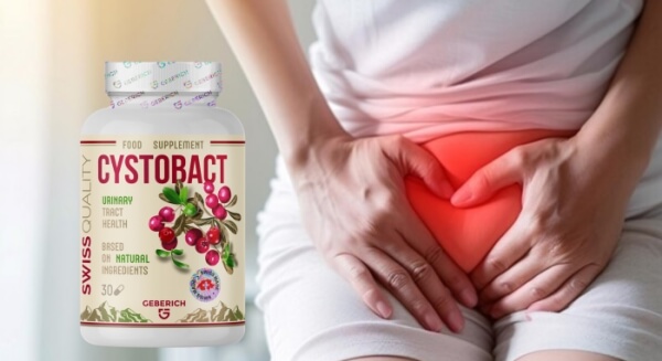 Cystobact-Preis in Deutschland – Bezugsquellen