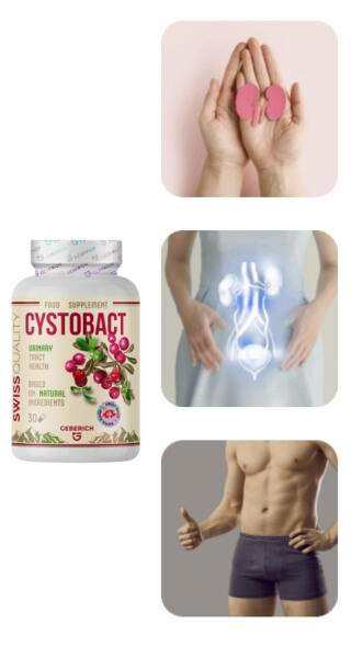 Wie wird Cystobact eingenommen – Gebrauchsanweisung, Dosierung und Beipackzettel