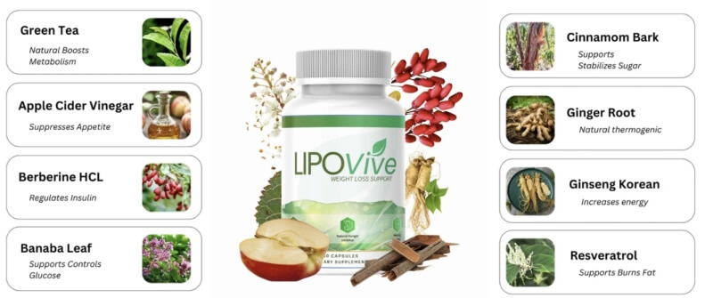 Zusammensetzung und Inhaltsstoffe Zusammensetzung und Inhaltsstoffe