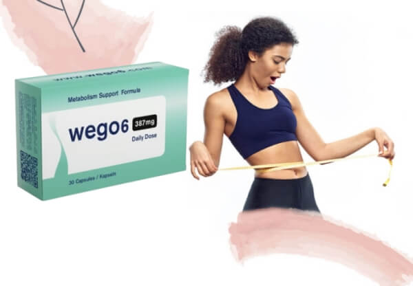 Wego6-Preis in der Schweiz, in Österreich und in Deutschland Wego6-Preis in der Schweiz, in Österreich und in Deutschland