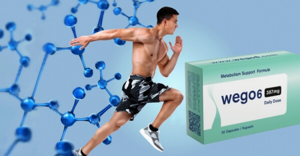 Anwendungshinweise für Wego6 Anwendungshinweise für Wego6